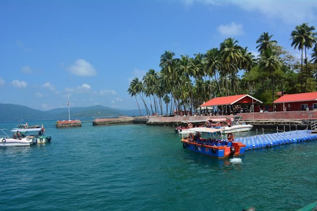 Guest photo